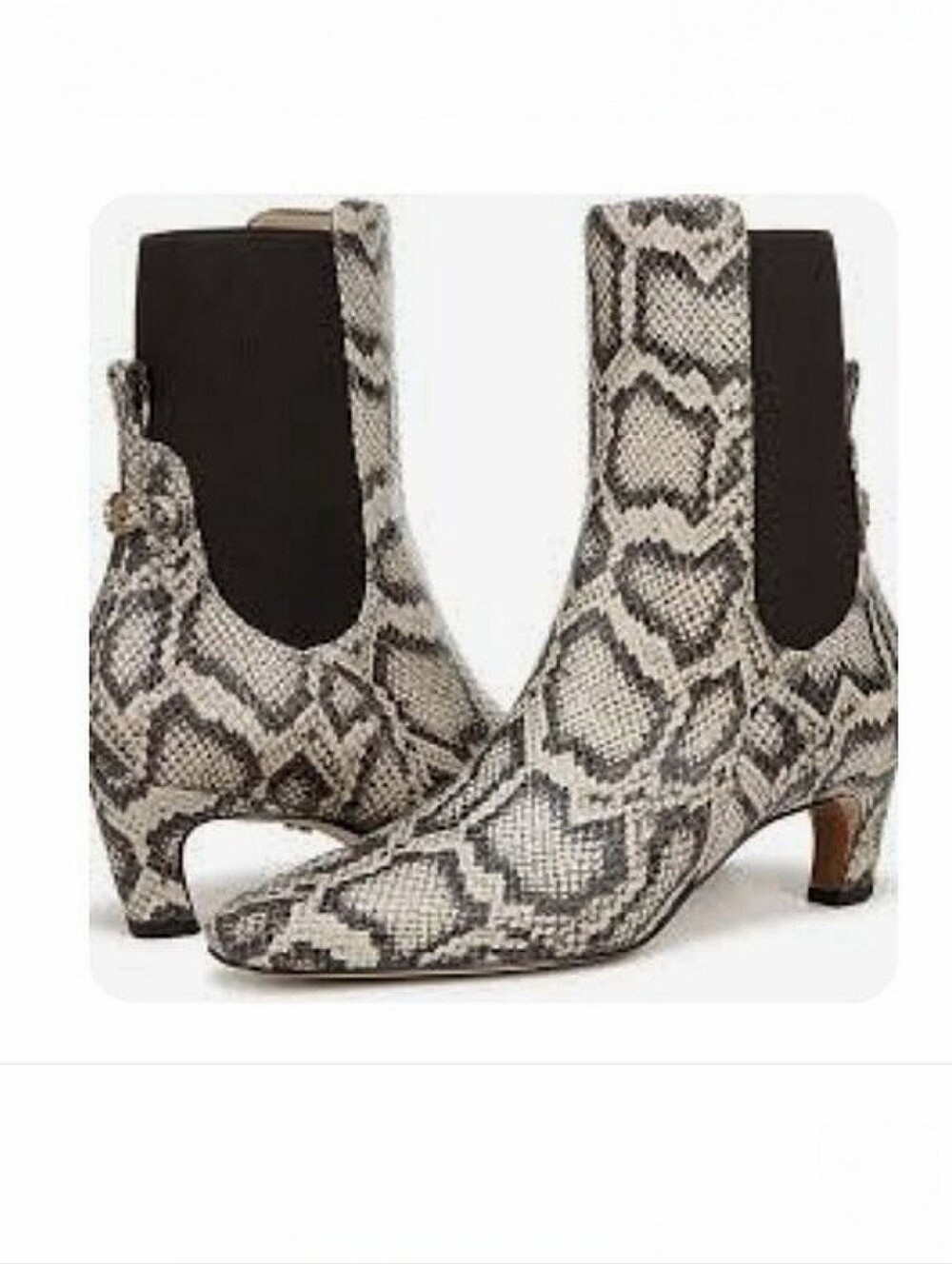 NEW Sam Edelman Roccia Gray Snake Print Leather Ankle Boot Size 9